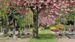 Wat zijn de regels op begraafplaatsen in Noord Holland ?