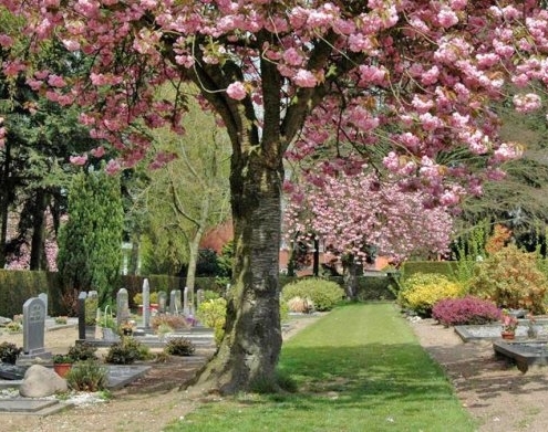 Wat zijn de regels op begraafplaatsen in Noord Holland ?
